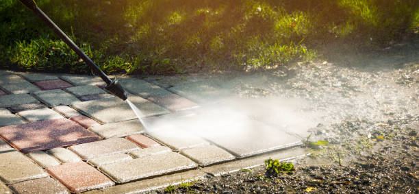Best Solar Panel Cleaning  in Vine Hill, CA
