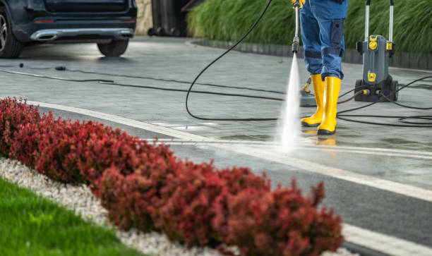 Best Spring Cleaning  in Vine Hill, CA